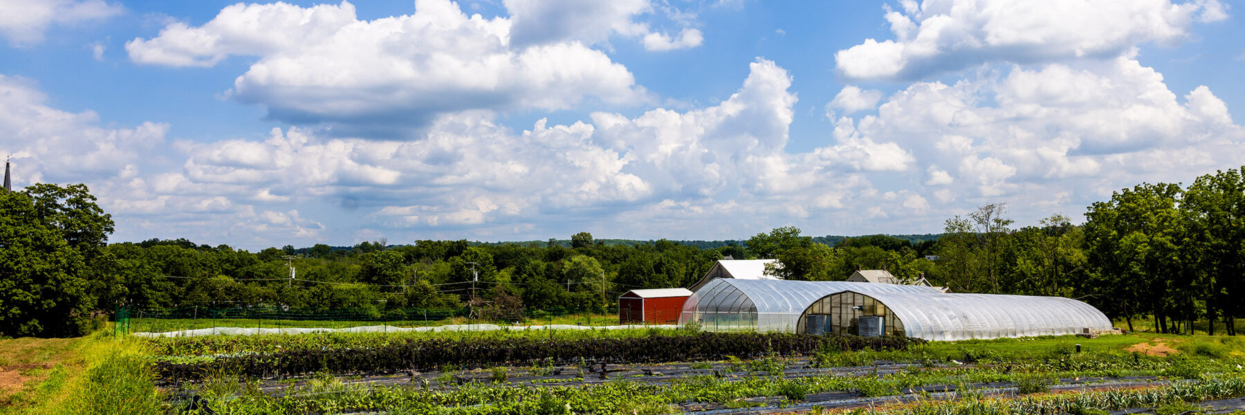 Farmscape